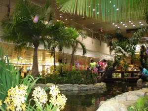 Airport Garden Airport Garden 300x225 25 Beautiful Indoor Plant Design Images