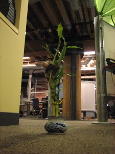 Bamboo Fun Bamboo Fun 225x300 25 Beautiful Indoor Plant Design Images