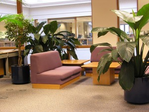 Casual Setting Casual Setting 300x225 25 Beautiful Indoor Plant Design Images
