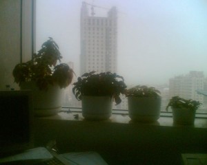 Foggy Window Foggy Window 300x240 25 Beautiful Indoor Plant Design Images