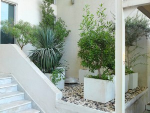 Fresh Air Stairway Fresh Air Stairway 300x225 25 Beautiful Indoor Plant Design Images