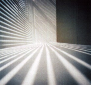 Light 4 222619704 c6f8f8165f 300x282 Finding the Right Light