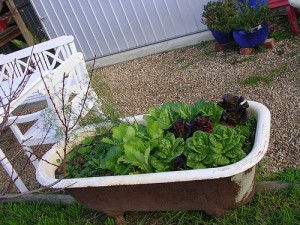 2682453880_601d49a952 2682453880 601d49a952 300x225 Seven Unique Outdoor Containers