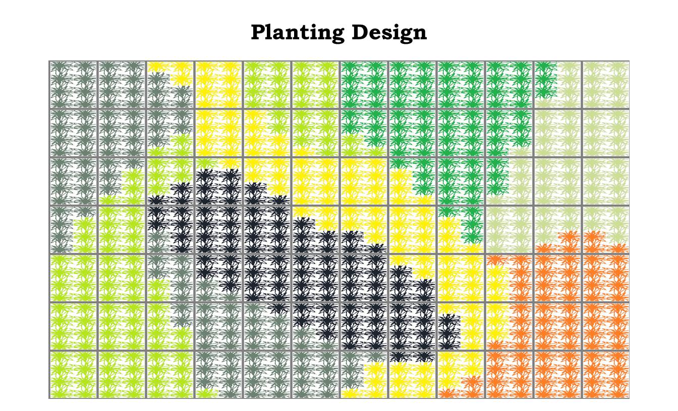 three-plant-design-tips-for-living-green-walls-newpro-blog