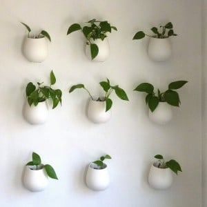 pots on the wall