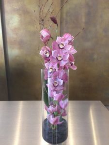 orchid flower