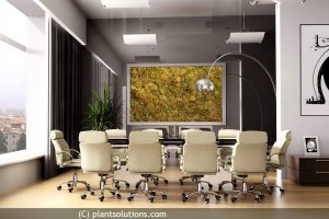 moss walls