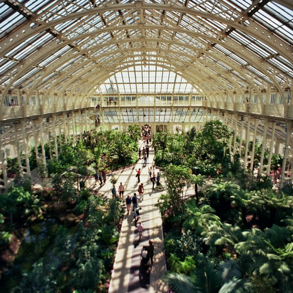 several visitors gaining interiorscape design inspiration from the lush greenery inside one of Kew Gardens' iconic greenhouses