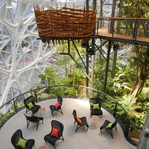 plant containers of various sizes contribute to the space's biophilic design