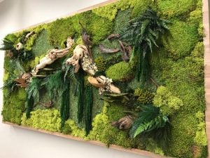 How to Make Your Own Moss Wall - SuperMoss