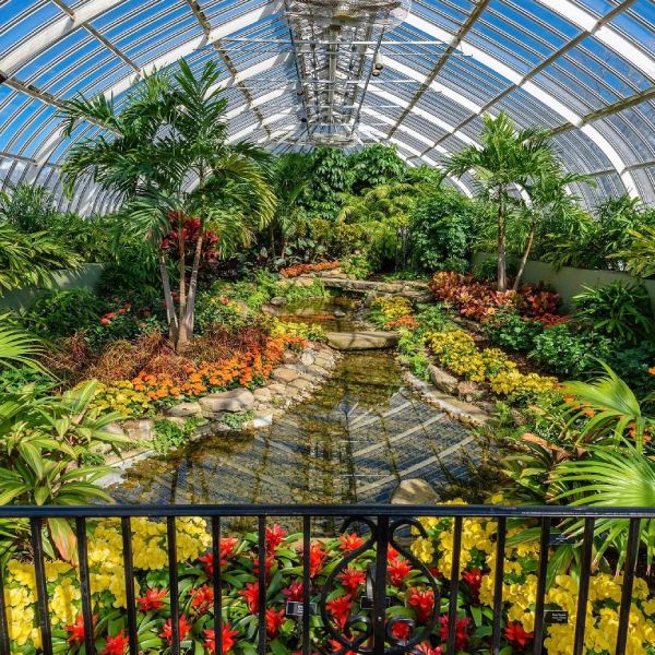 the colorful flowers and vibrant greenery of the inspirational Phipps Conservatory