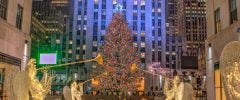 the Rockefeller Center tree offers dazzling holiday decor