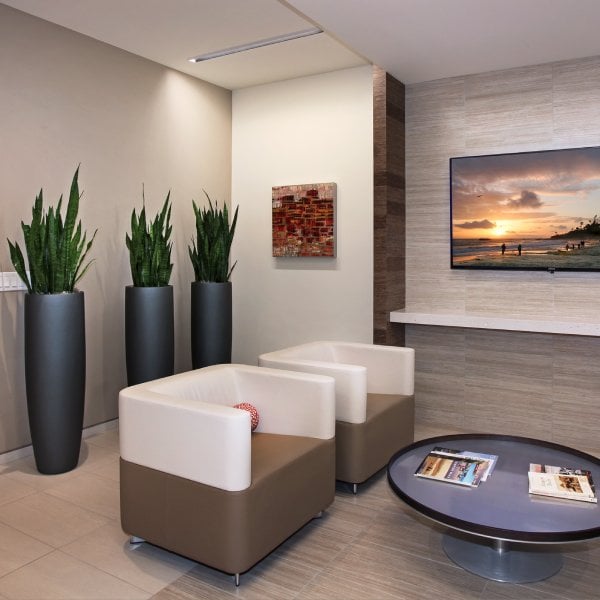 three sansevieria line a wall in a modern lobby
