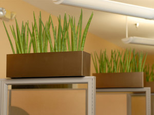 Vista Rectangle Planter