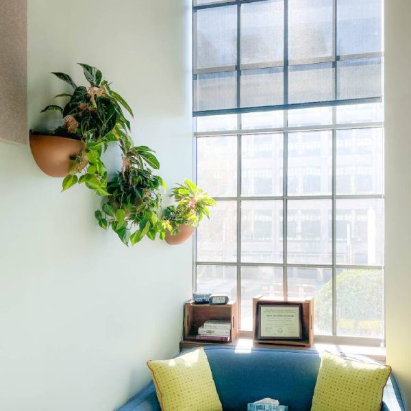 Three wall-mounted planters decorate an office wall
