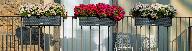 Lechuza Balconera Planters