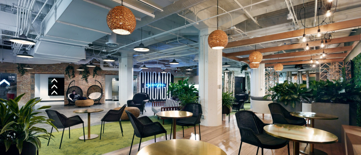 10 Benefits of Biophilic Design Backed by Compelling Studies | NewPro Blog