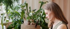An interiorscape professional managing client cancellations in a notebook at a desk surrounded by lush indoor plants and a laptop