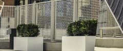 two rectangular commercial planters outside with bushes planted in them