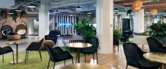 biophilic design in the workplace