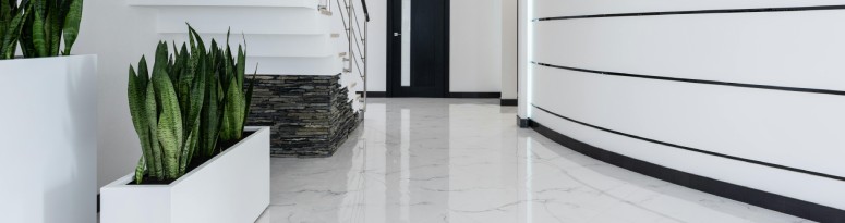 A modern hallway decorated with snake plants in white rectangular planters