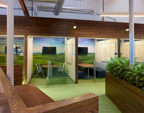 image of offices with green carpet and natural wooden textures