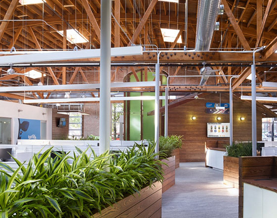 office hallway with natural wood textures and plants in wooden planters
