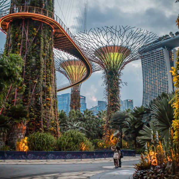 visitors seeking interiorscape design inspiration from the biophilic supertrees at Gardens by the Bay in Singapore