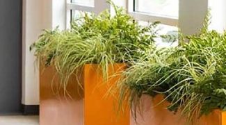 Interiorscape Hacks: Four Ways to Save Time and Money Featured Image