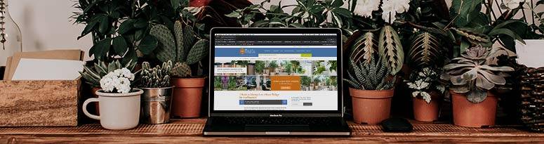 A laptop displaying a planter website sits on a wooden desk surrounded by a variety of potted plants