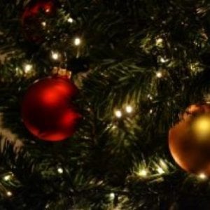 A Christmas tree with twinkling white lights decorated with red and gold ornaments