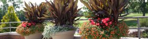 three large outdoor planter installations on a patio overflowing with vibrant foliage