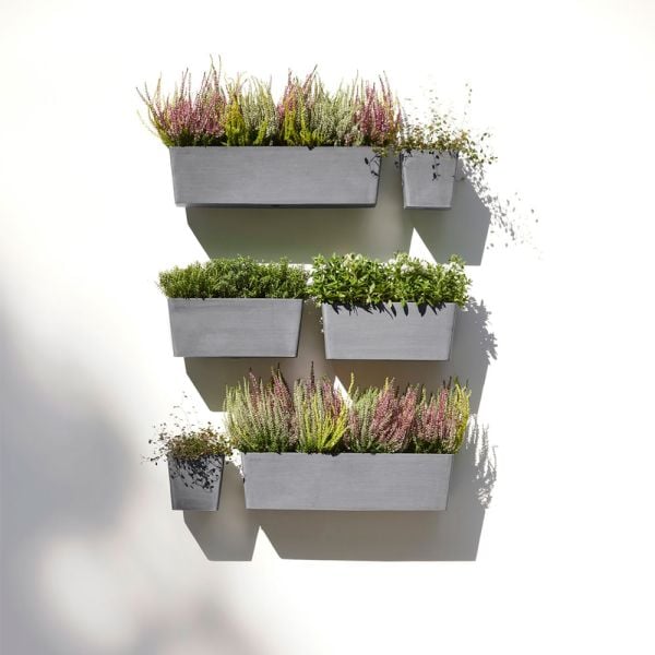 Several rectangular wall-mounted planters filled with a variety of greenery arranged to form a vertical garden