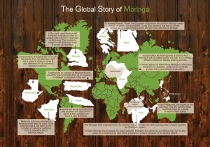 Moringa Global Map