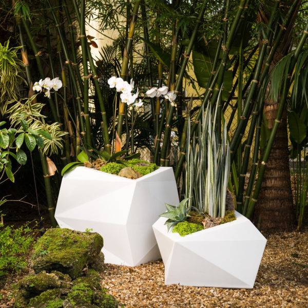a variety of plants and vibrant green moss decorate white geometric planters