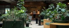 A spacious, modern office with abundant greenery, large plants, and cozy seating areas under a skylight