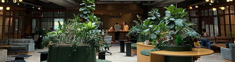 A spacious, modern office with abundant greenery, large plants, and cozy seating areas under a skylight
