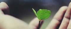 a person holding a small plant, symbolizing the act of nurturing and caring for its development