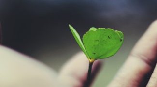 Nurturing Growth: Building a Development-Centric Interiorscape Workforce Featured Image