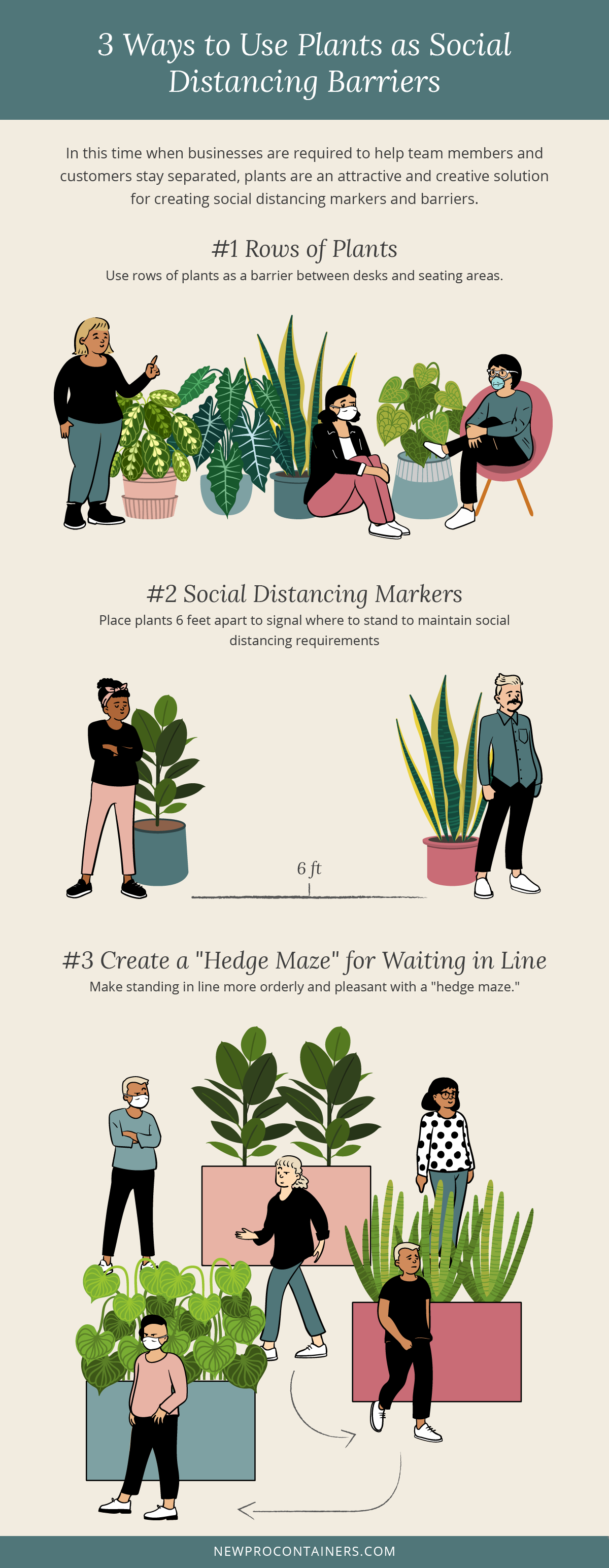 ways to use plants as social distancing barriers