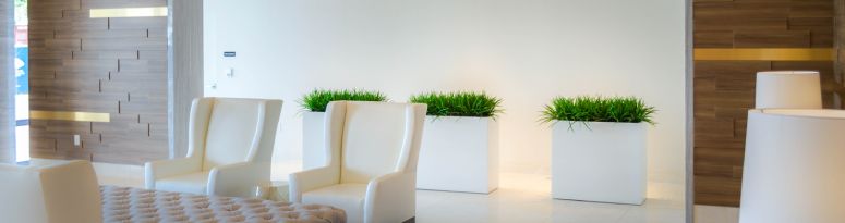 Three white rectangular planters with green plants in a modern office seating area