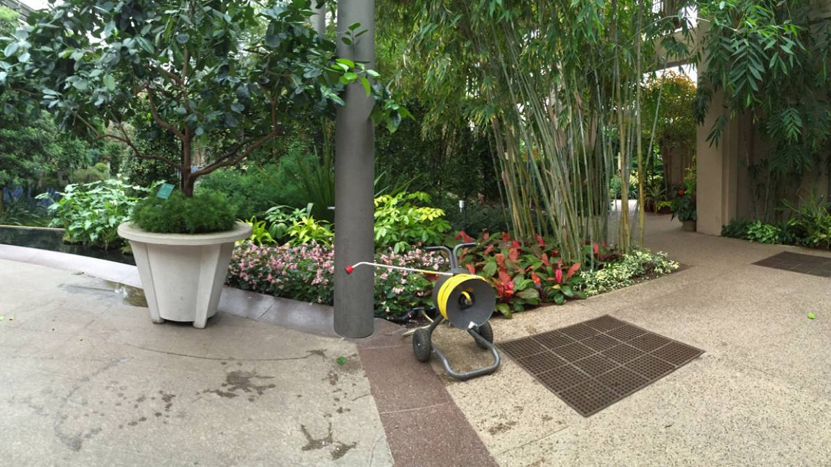 plant-tech-tips-T | NewPro Blog