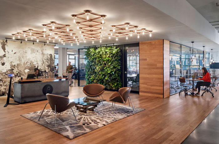 prolific interactive offices showcasing biophilic design in the workplace with a green wall and natural wood textures