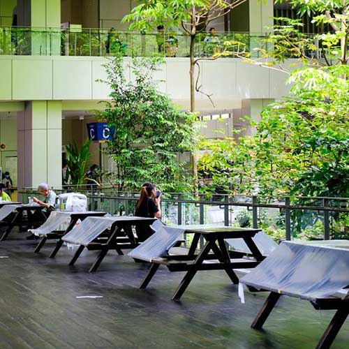 plant containers create a lush, green space for hospital patients, visitors, and staff to enjoy