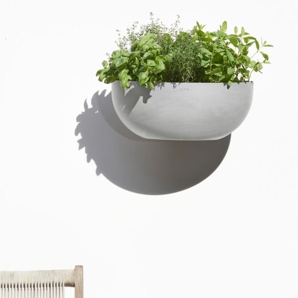 A light gray wall-mounted planter filled with a variety of herbs