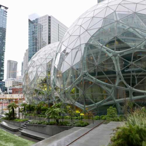 a relaxing, green sanctuary for employees and visitors