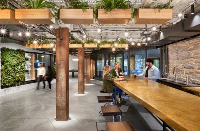 united technologies digital office's open meeting space with a plant wall, hanging planters, and a long wooden table