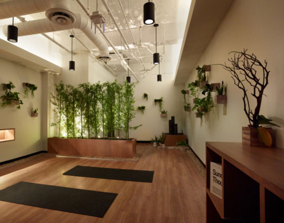 open yoga room with black yoga mats, hanging plants, and a bamboo plant divider