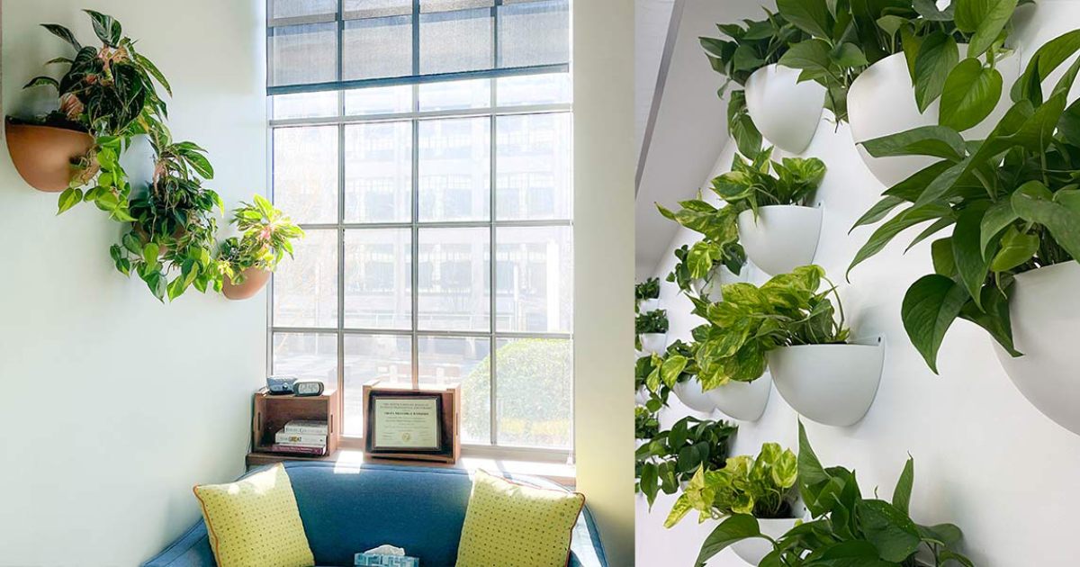 Wall-Mounted Planter Decoration Tips: Transform Your Space Instantly