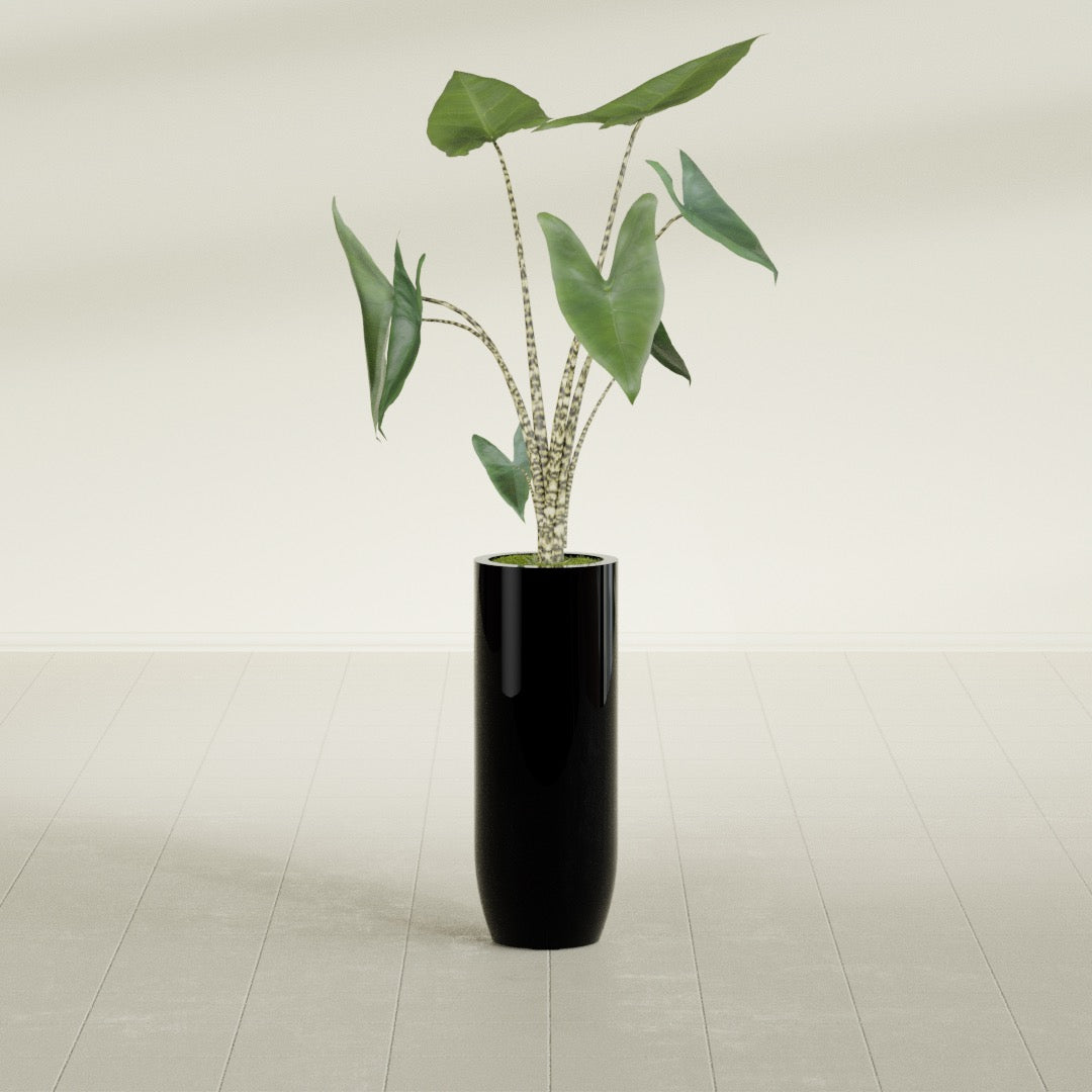 Saint Tropez Large Tall Round Fiberglass Planter - 12 in x 12 in x 32 in - Gloss Black - Gloss Black,12 in x 12 in x 32 in
